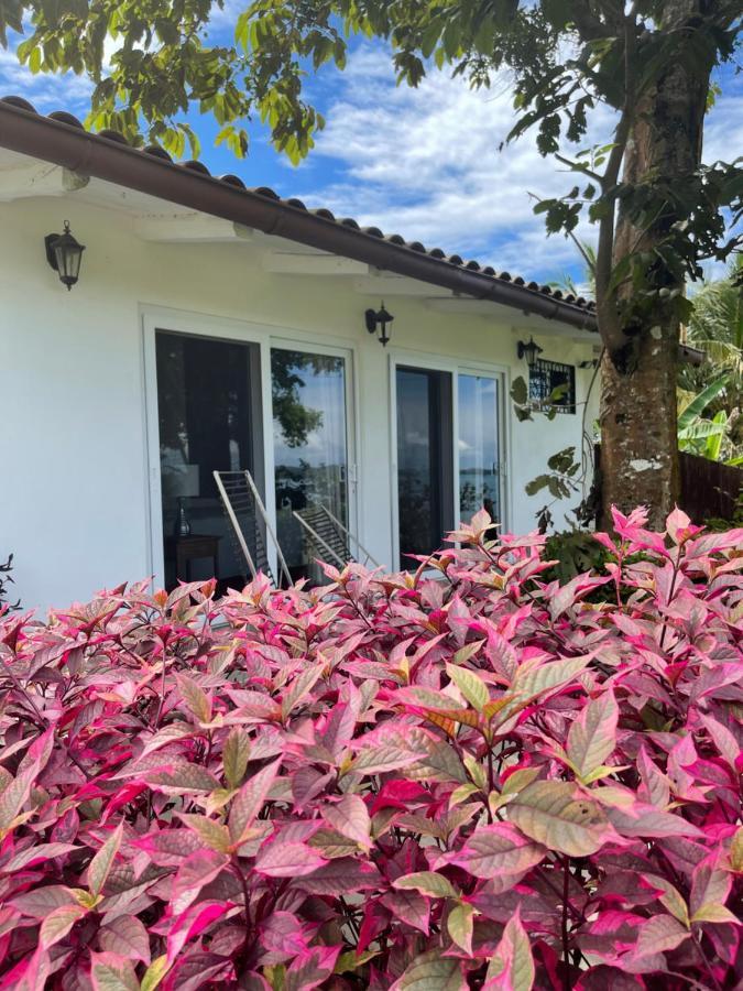 Boca Brava Paradise Bed & Breakfast Boca Chica Bagian luar foto
