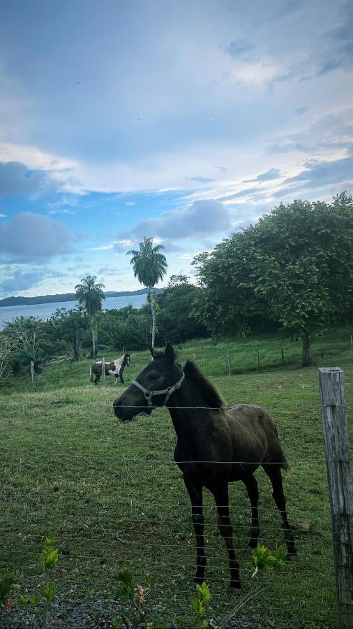 Boca Brava Paradise Bed & Breakfast Boca Chica Bagian luar foto