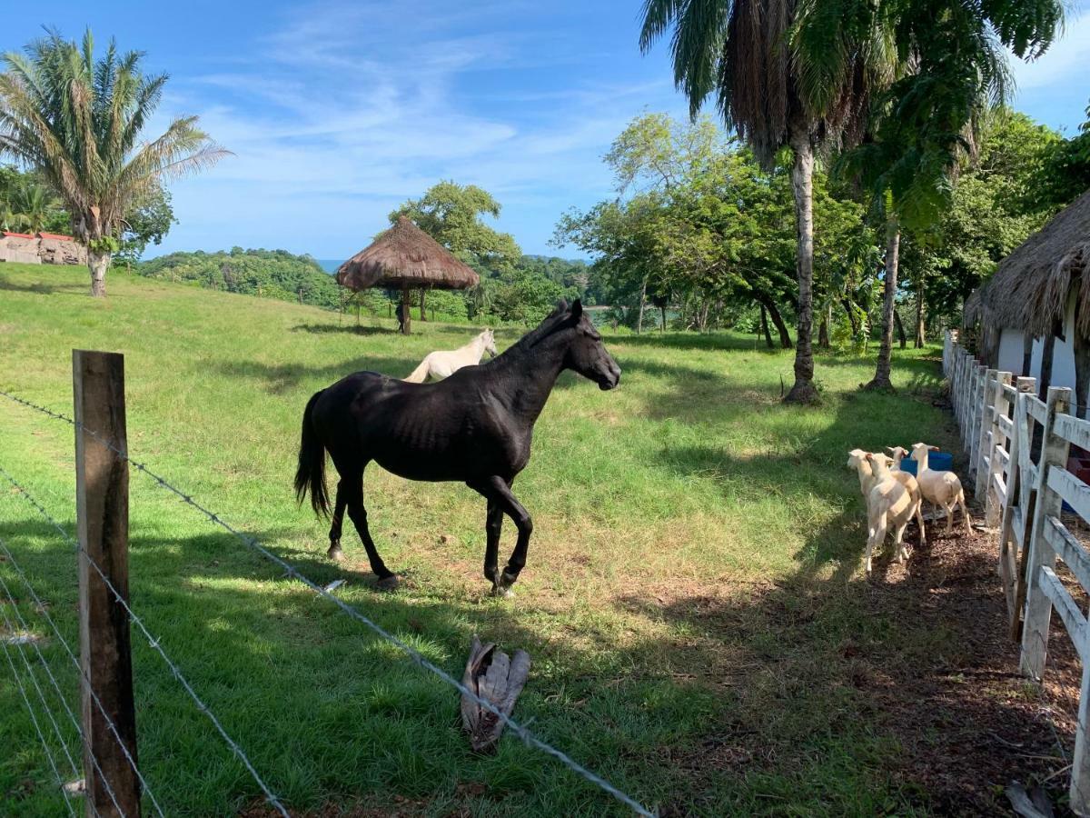 Boca Brava Paradise Bed & Breakfast Boca Chica Bagian luar foto