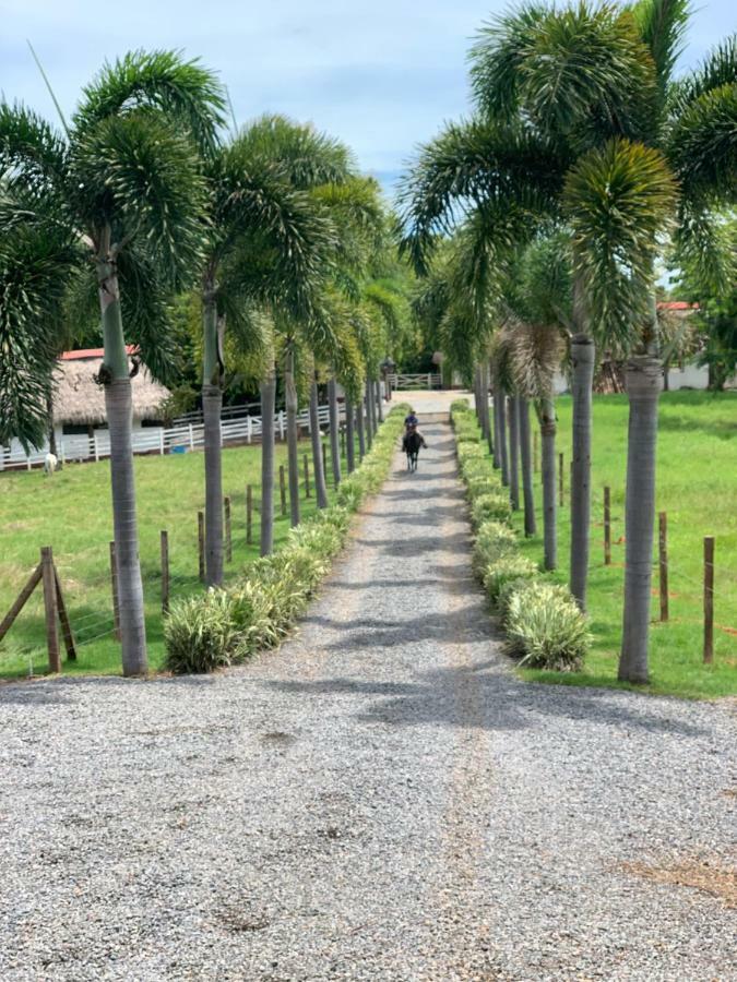 Boca Brava Paradise Bed & Breakfast Boca Chica Bagian luar foto